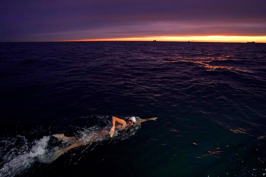 Chloe McCardel swims as the sun rises, with silhouettes of ships on the horizon