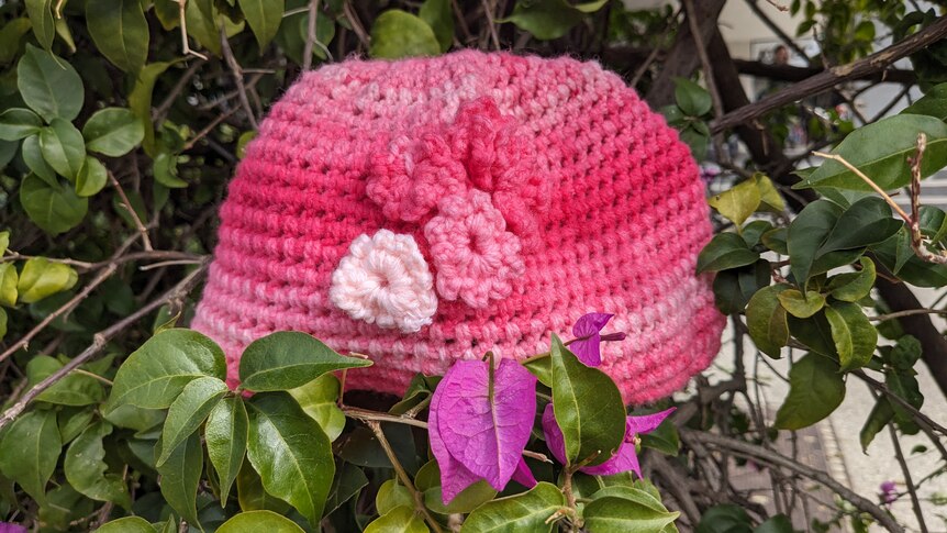 A pink crochet beanie is nestled amongst the leaves of a lush green hedge.