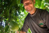 Barry Madsen with chocolate pudding fruit