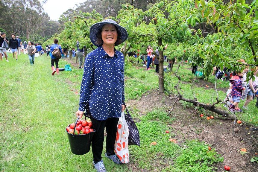 Sue Blazic holds bags filled with nectarines.