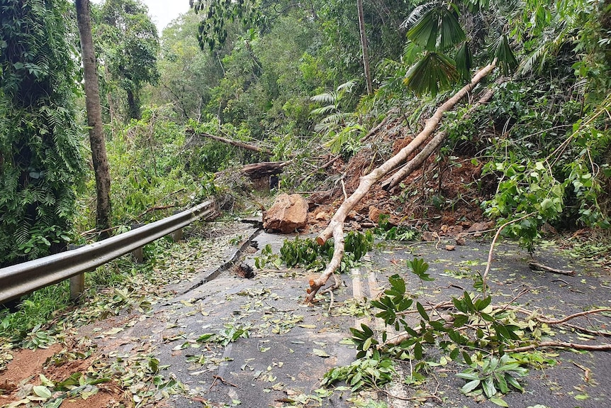 Photo of landslide and fallen rainforest vegetation across road