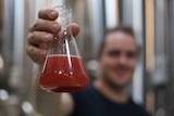 Jarrett Bravo's hand holding a conical flask filled with red liquid of strawberry beer.