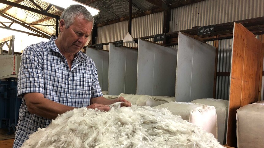 Farmer John Freeman sorting wool in his Briagolong wool shed