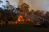 Andrew Stark has spent more than six years in the NSW Rural Fire Service.