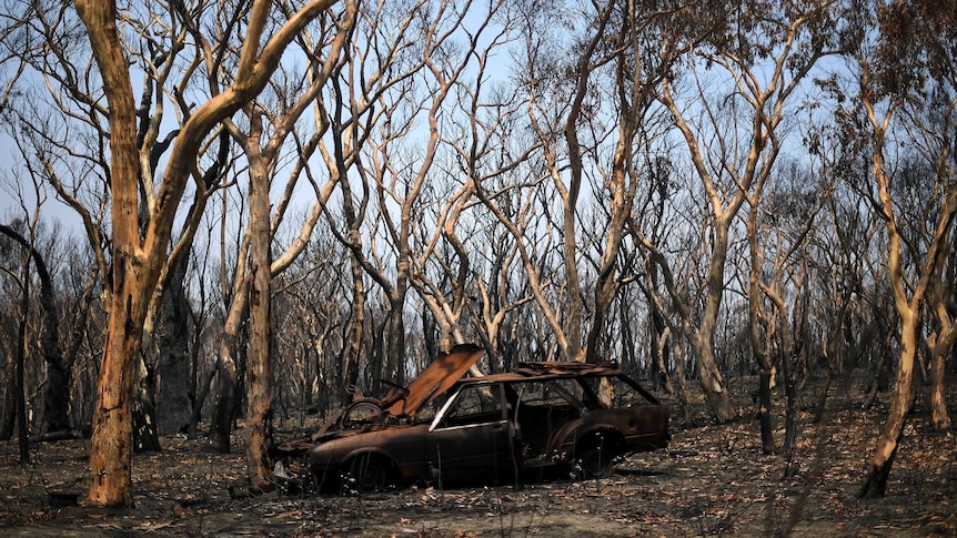 A burnt car in Australian bushland after a fire.