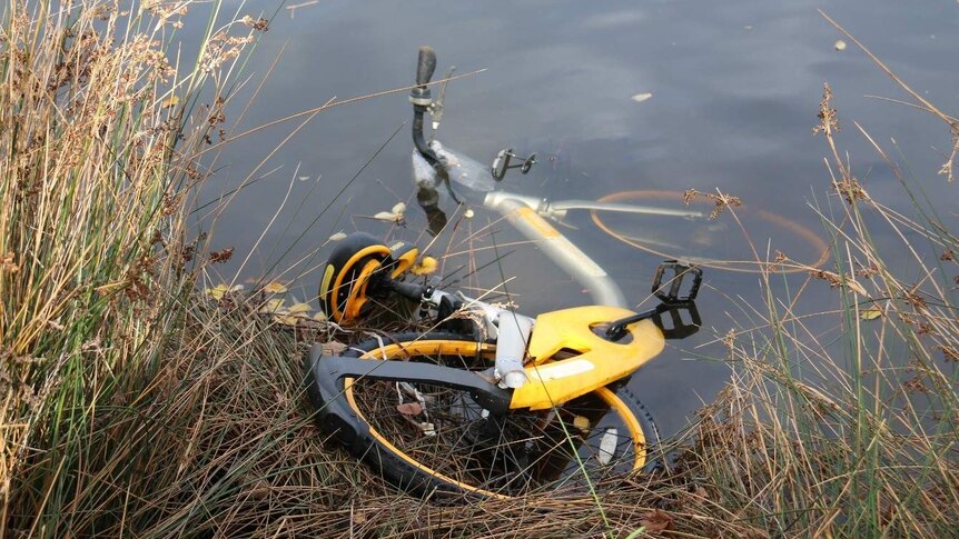 An oBike partially submerged in the Yarra River