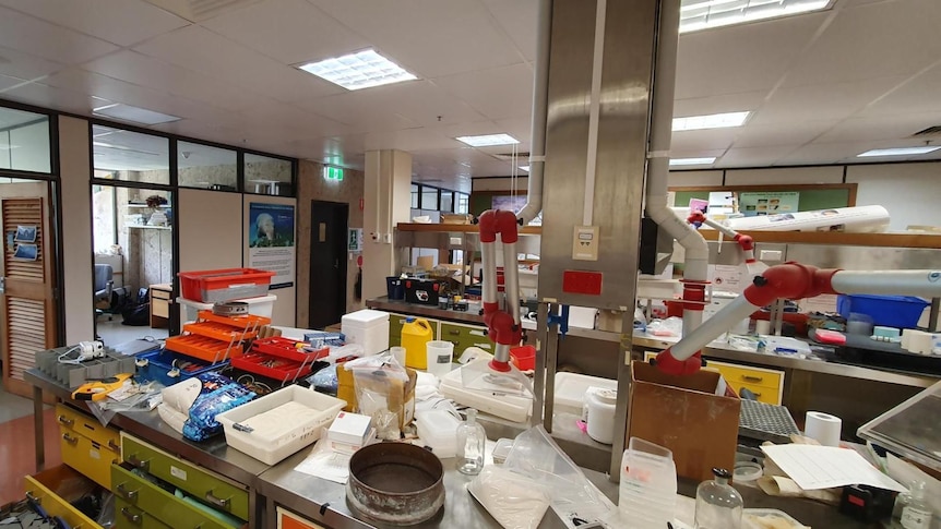a laboratory with scientific apparatus 