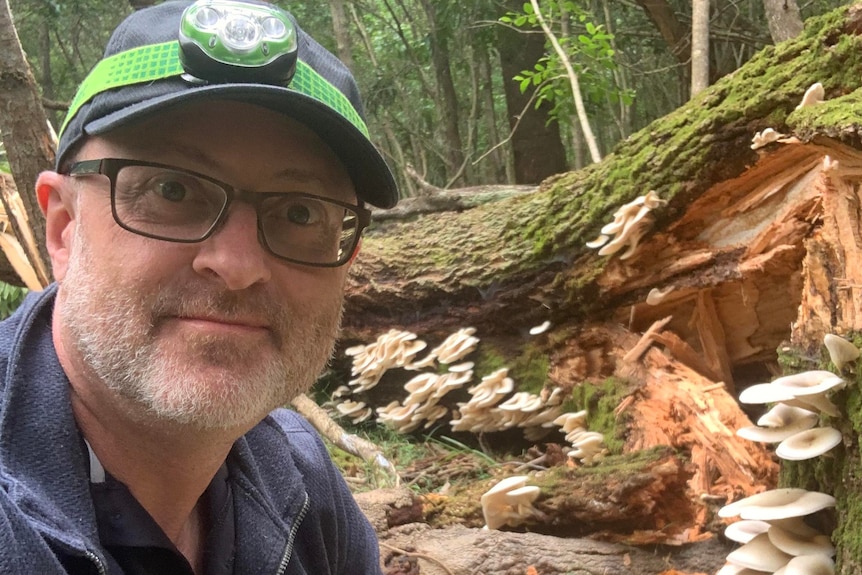 David Finlay wears a head torch in front of a clump of ghost mushrooms on a tree log.