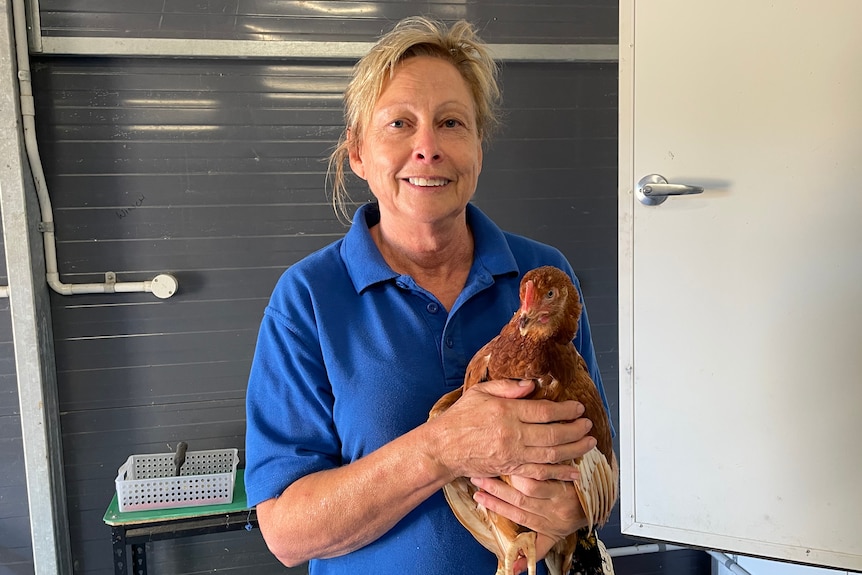 Free Range egg producer holding one of her hens in the barn and smiling 