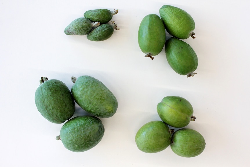 Four piles of feijoas, some are very small while others are bigger and round.