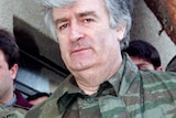Bosnian Serb wartime leader Radovan Karadzic