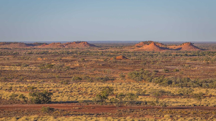 A wide shot showing mesas rising above flat plains of red dirt and clumps of spinifex.