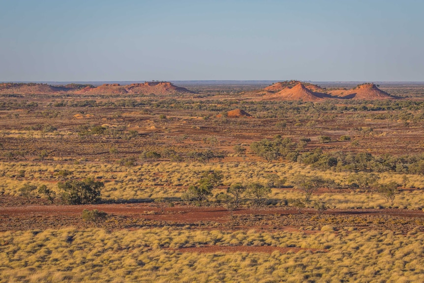 A wide shot showing mesas rising above flat plains of red dirt and clumps of spinifex.