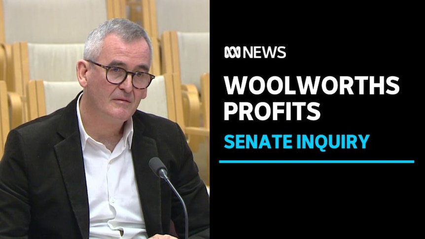 Woolworths Profits, Senate Inquiry: A man speaks at a microphone.