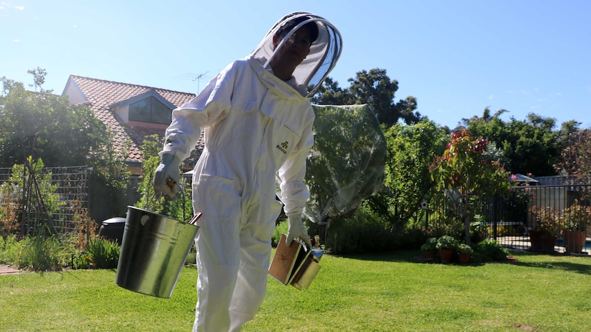 Beekeeper Luke de Laeter in his beekeeping suit in his backyard.