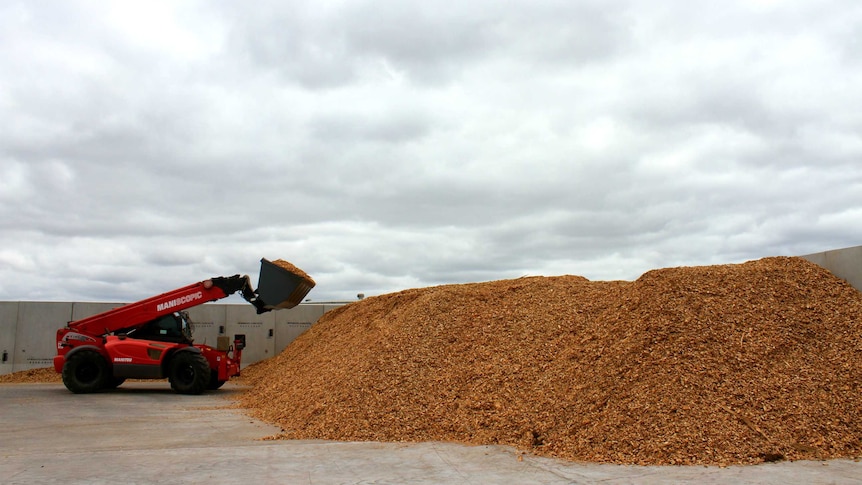 A pile of woodchips and an excavator picking them up.