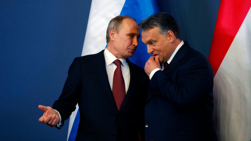 Vladimir Putin leans in close to Viktor Orban, who ducks his head and strokes his chin in front of Russian and Hungarian flags