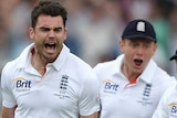 Anderson celebrates bowling Clarke on day one of first Ashes Test