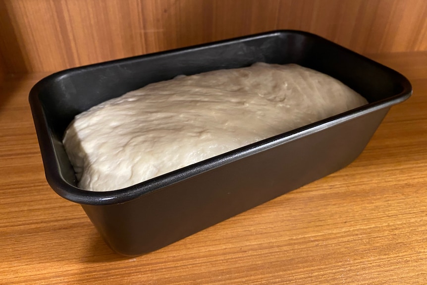 White bread dough resting in a loaf tin, its final proof before it's time to bake the homemade loaf.