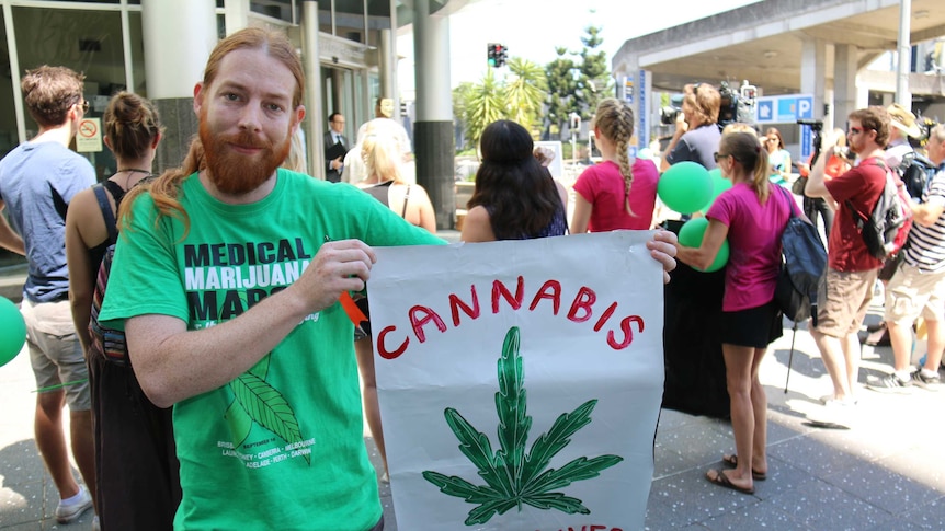 Joshua Waldron from Queensland Medicinal Cannabis Collective