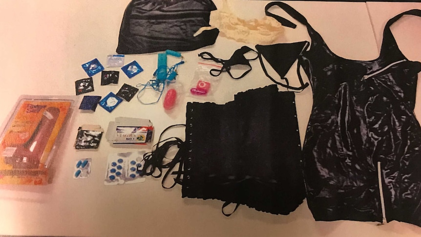 Items found inside the Waterfall Gully home of alleged killer Peter Rex Dansie.