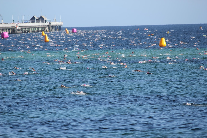 Ocean packed with swimmers with buoys and a jetty in the background.