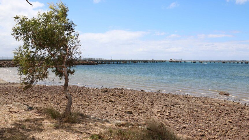 The beach and jetty at Crib Point, Victoria.