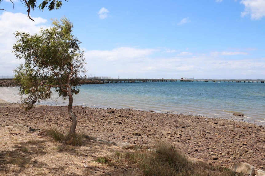 The beach and jetty at Crib Point, Victoria.