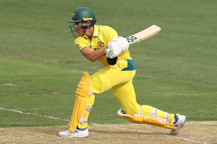 Sean Abbott completes a shot in an ODI for Australia