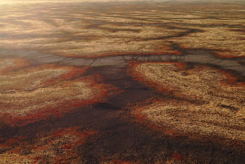 A patched dry landscape, darkened in sections where a river has previously run.