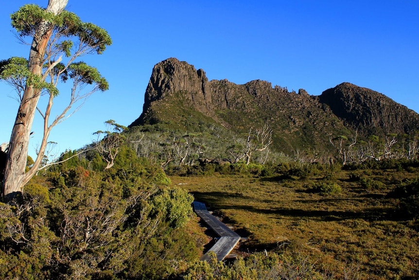 The Acropolis from Pine Valley