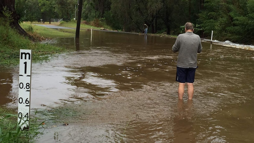 A man stands shin-deep in flood waters at Gap Creek Rd to the west of Mt Coot-Tha in Brisbane.