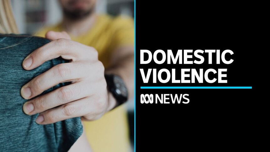 Family courts to screen for domestic violence risk ABC News