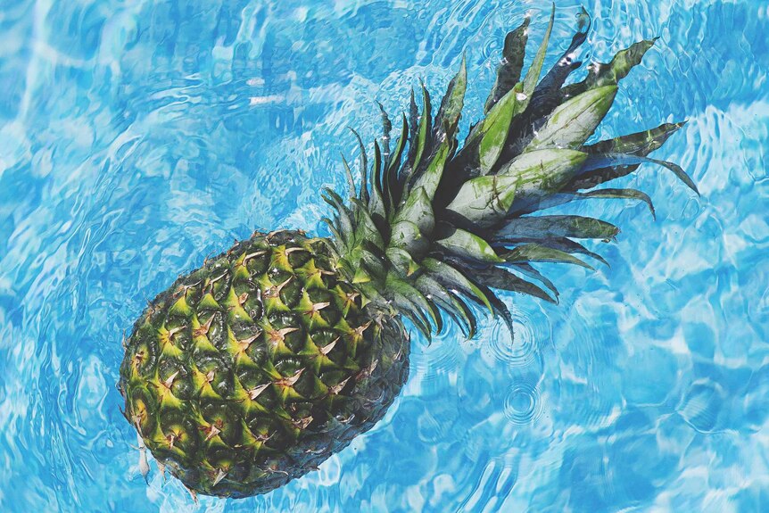 Summer reading pineapple