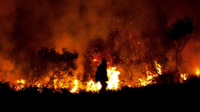 A firefighter watches as a scrub fire burns through the Awabakal Nature Reserve at Dudley, September 24, 2012.
