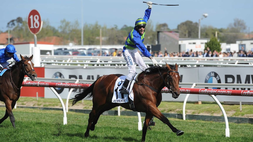 Jockey Nick Hall reacts as he rides Jameka to victory in the Caulfield Cup on October 15, 2016.