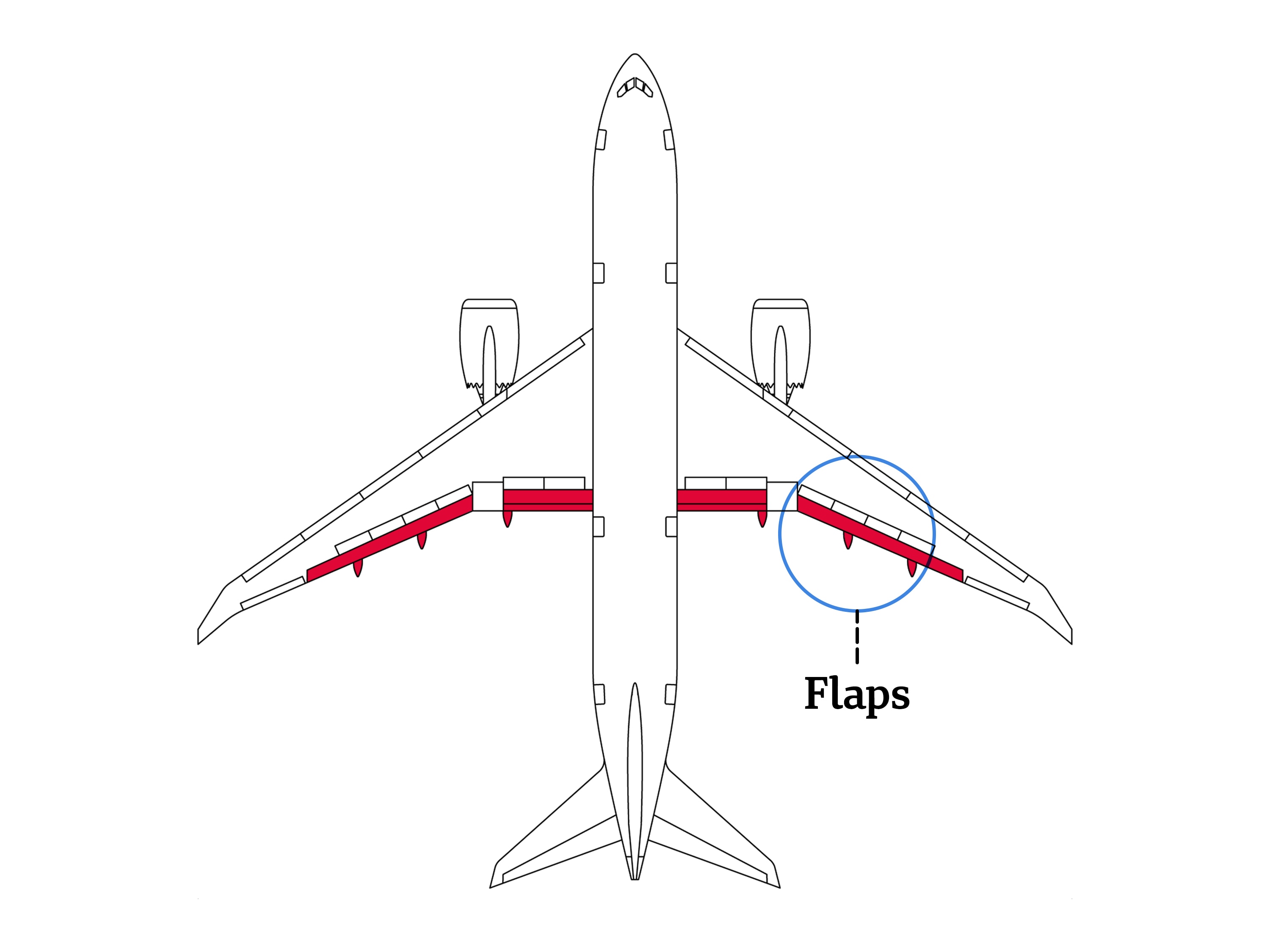 A vector drawing of an aeroplane. The flaps are lighlighted in red and labelled "flaps"
