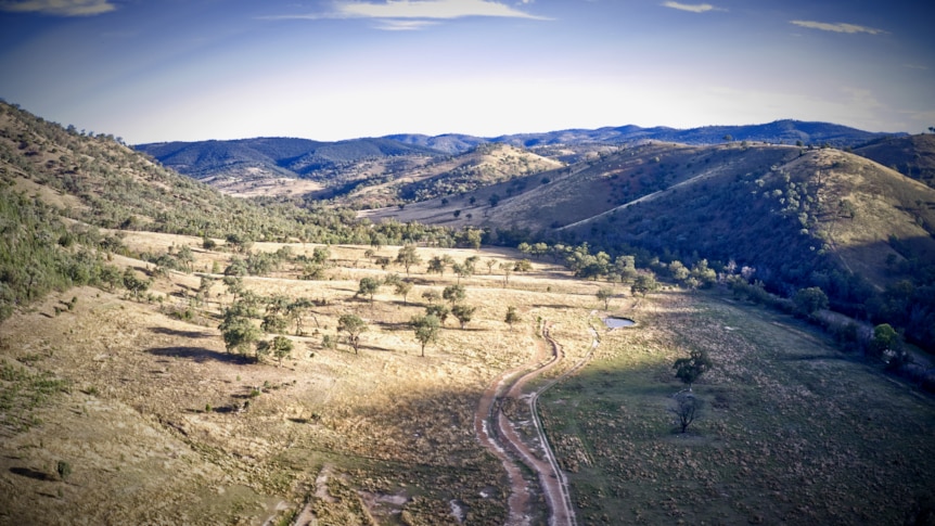 Aerial shot of the Mole River valley, natural vegetation and track down to a farm dam