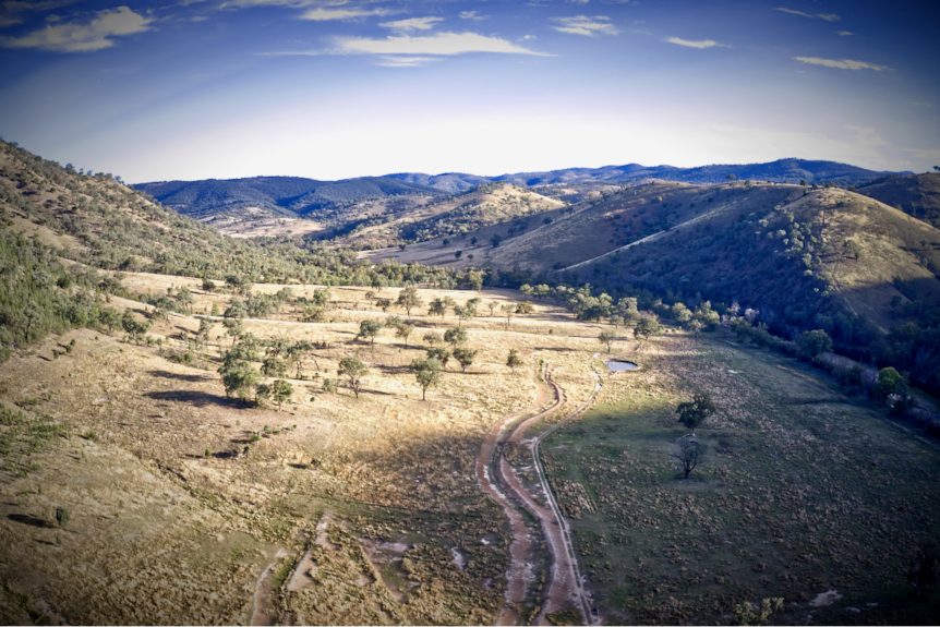 Aerial shot of the Mole River valley, natural vegetation and track down to a farm dam