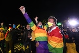 Two people in rainbow coats and green and gold masks cheer.