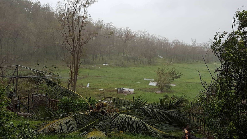 Cyclone Debbie has destroyed some of Proserpine pig farmer Christina della Velle's pig shelter sheds