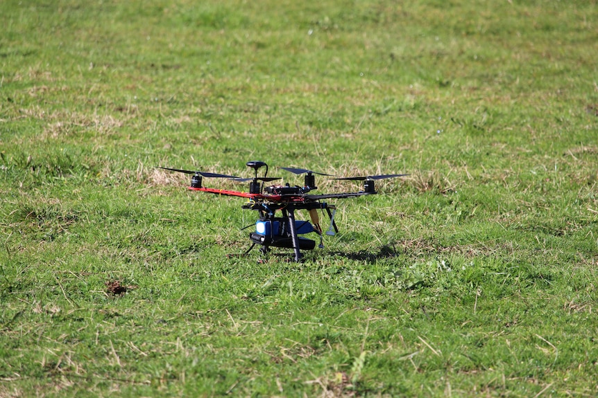 The red and black drone is sitting on the green grass