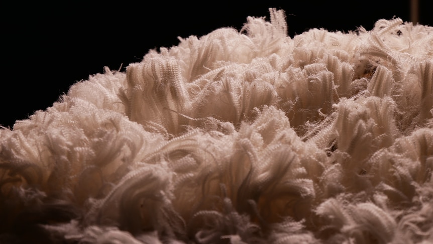 close up of wool fibres. 