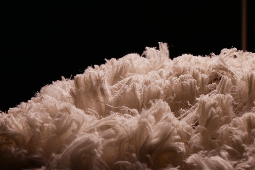 Primo piano delle fibre di lana. 