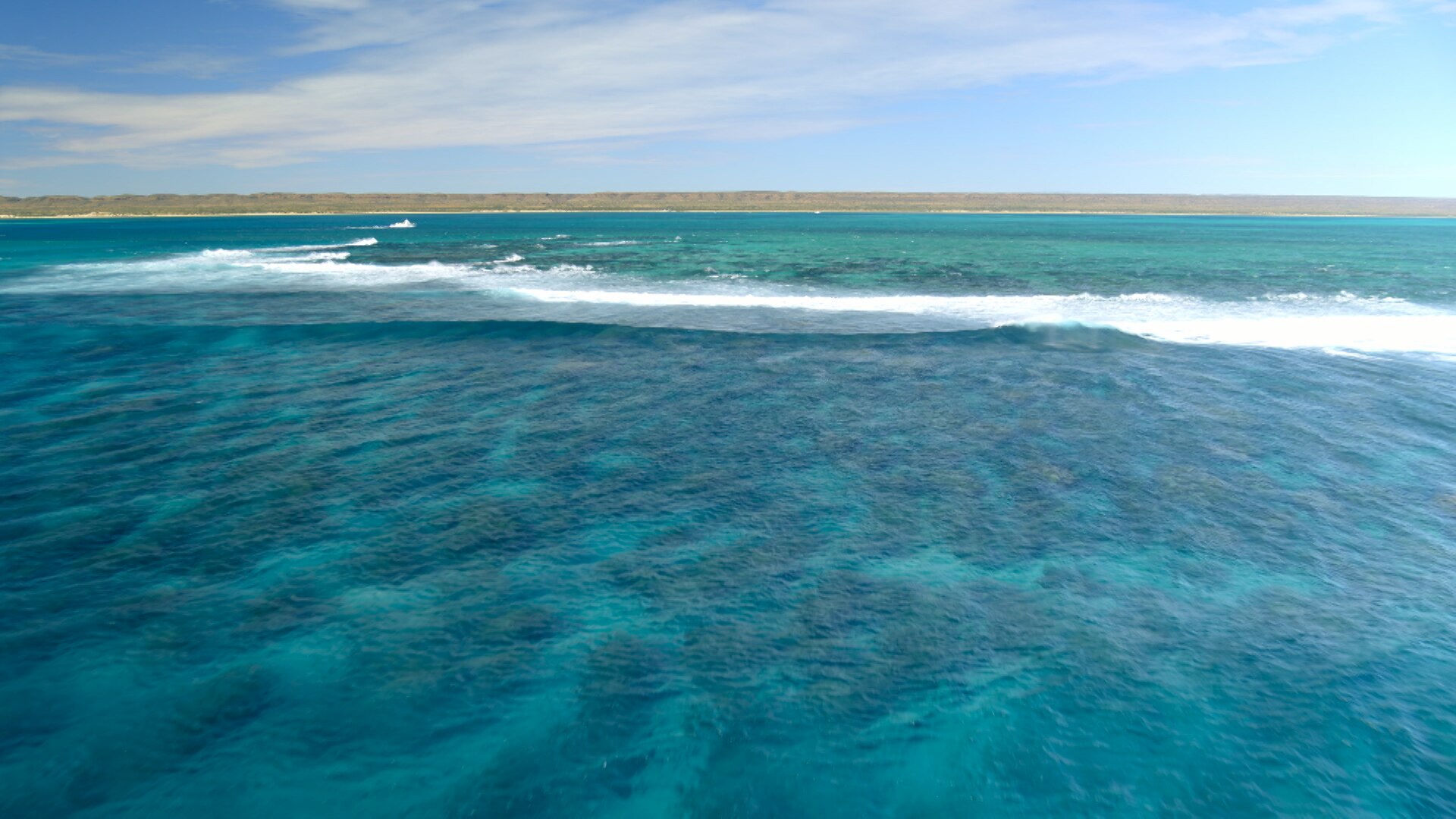 Ningaloo reef - ABC News