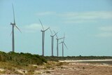 Wind turbines near Edithburgh SA
