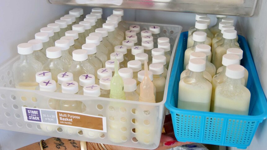 bottles of milk in trays in a fridge