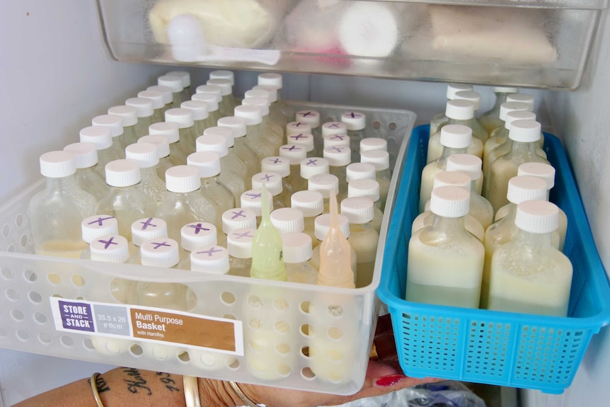bottles of milk in trays in a fridge