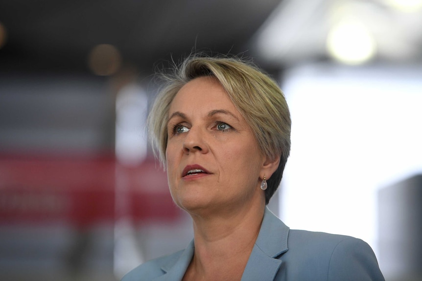 A shoulders-up portrait of politician Tanya Plibersek