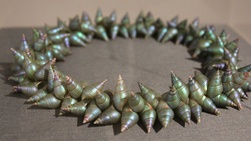 Picture of a shell necklace close up